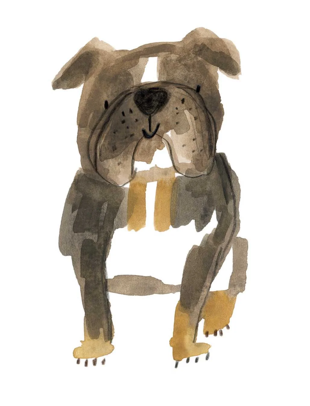 Bulldog original 3 online.jpg