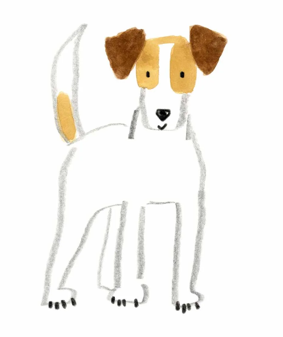 Jack Russell Original 2 online.jpg