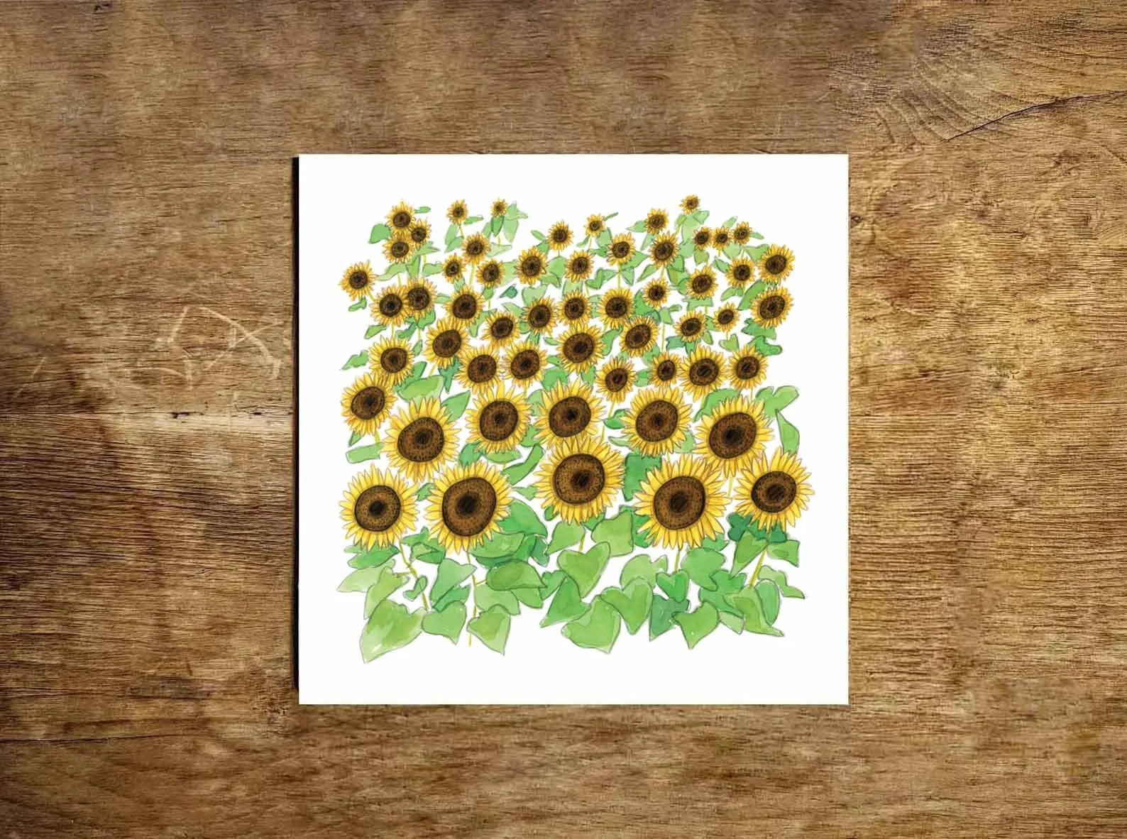 Sunflowers print promo 1.jpg