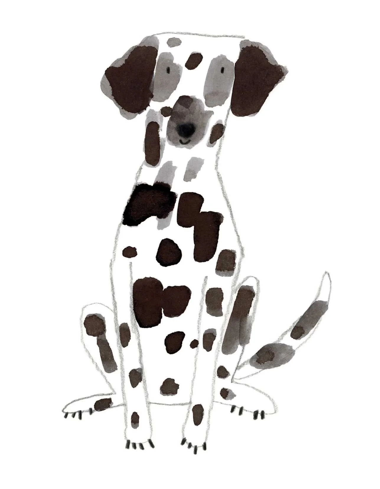 Dalmation 6 online.jpg