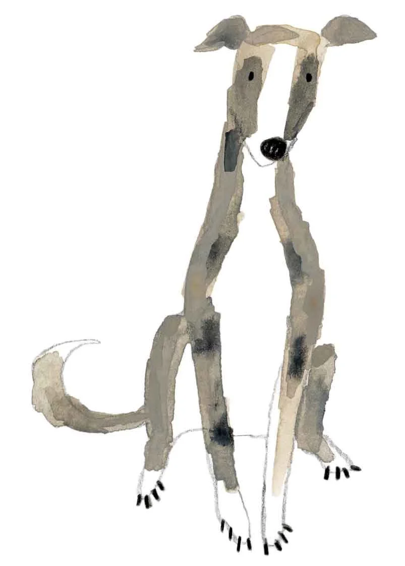 whippet 4 online.jpg
