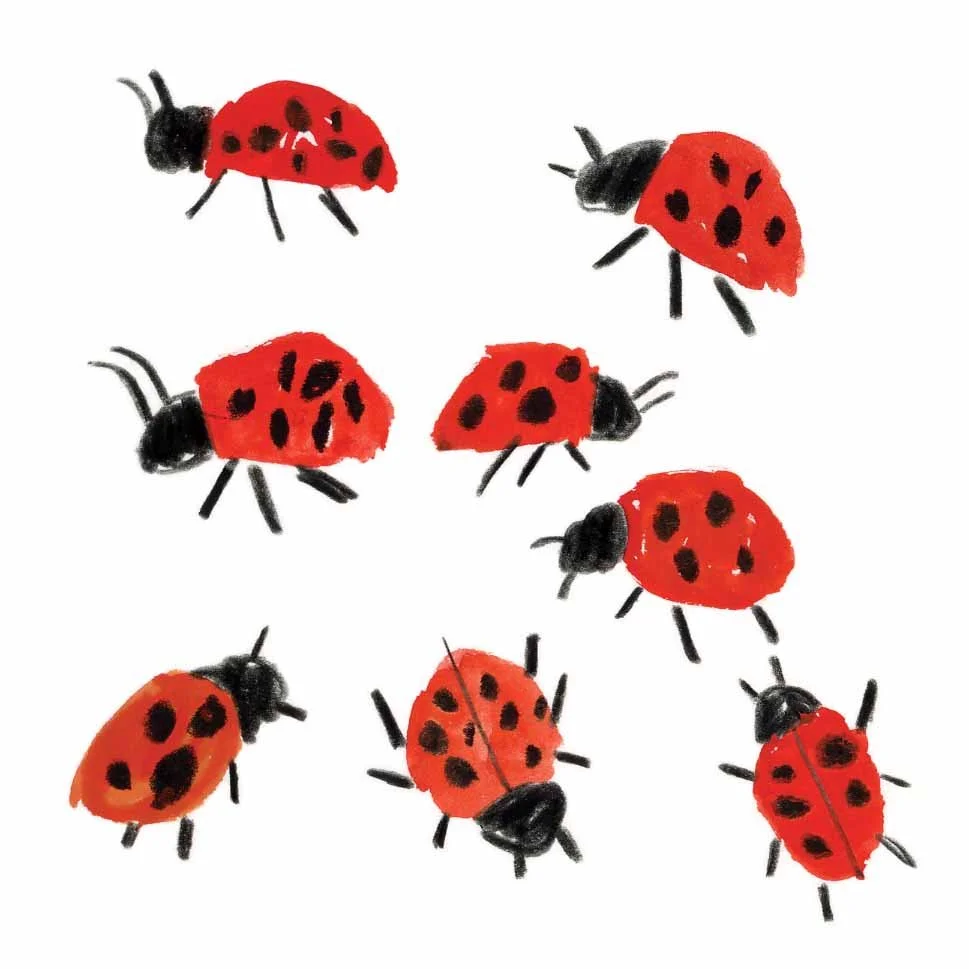 Ladybirds 2 online.jpg