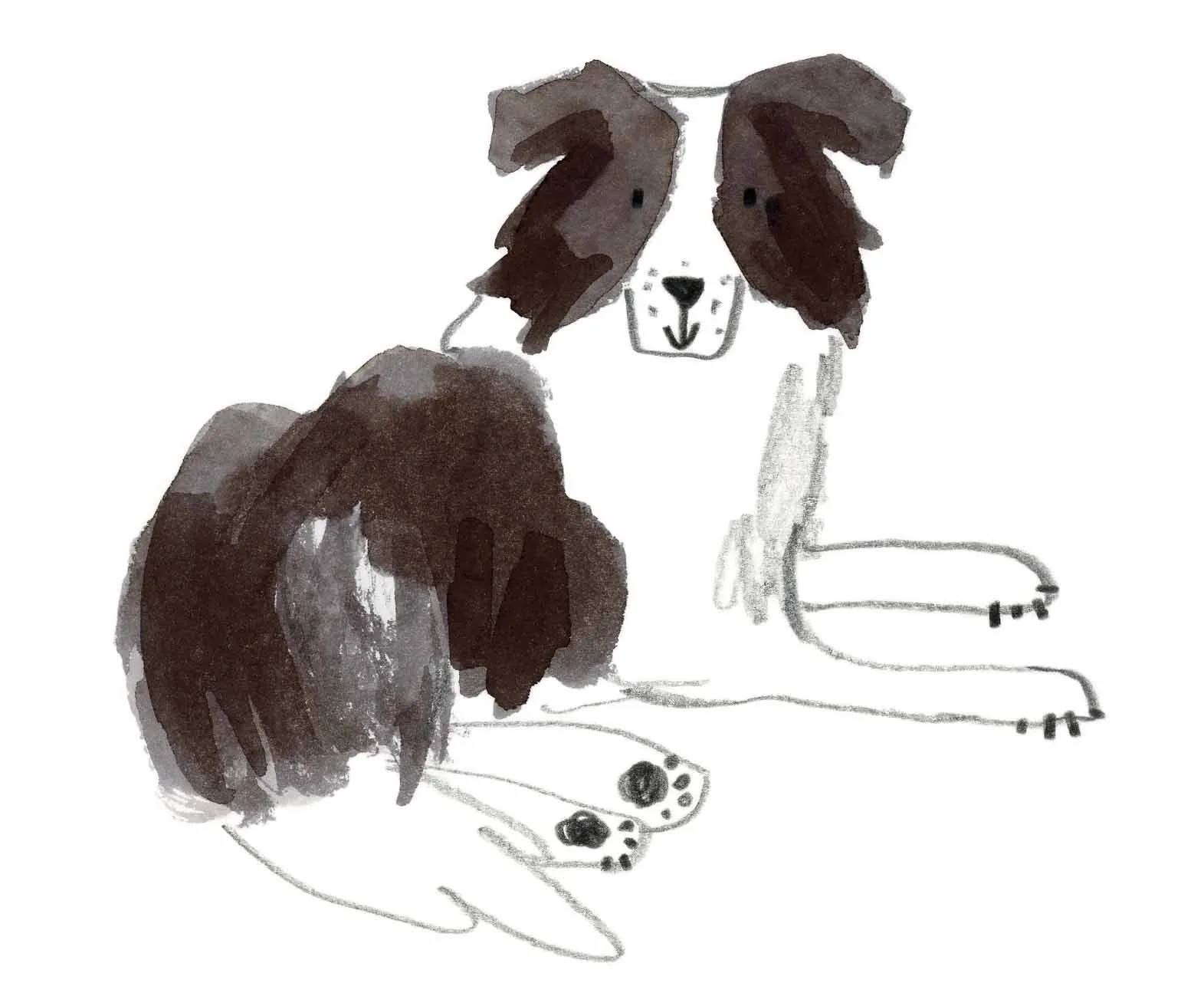 Collie Original 5 online.jpg