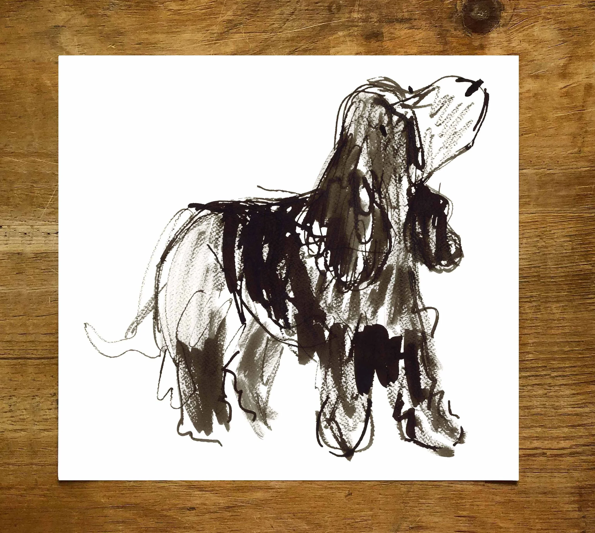 Frida Looking Up promo 1.jpg