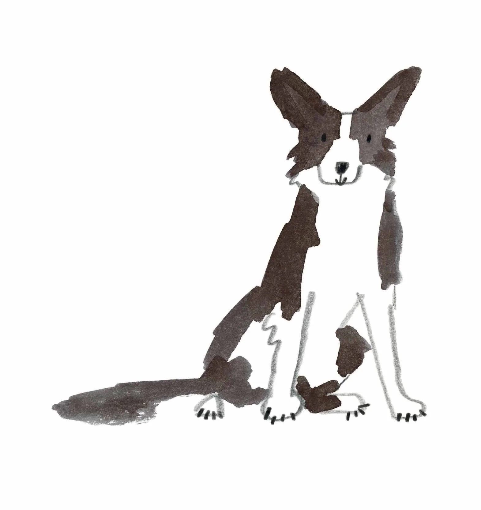 Collie Original 1 online.jpg