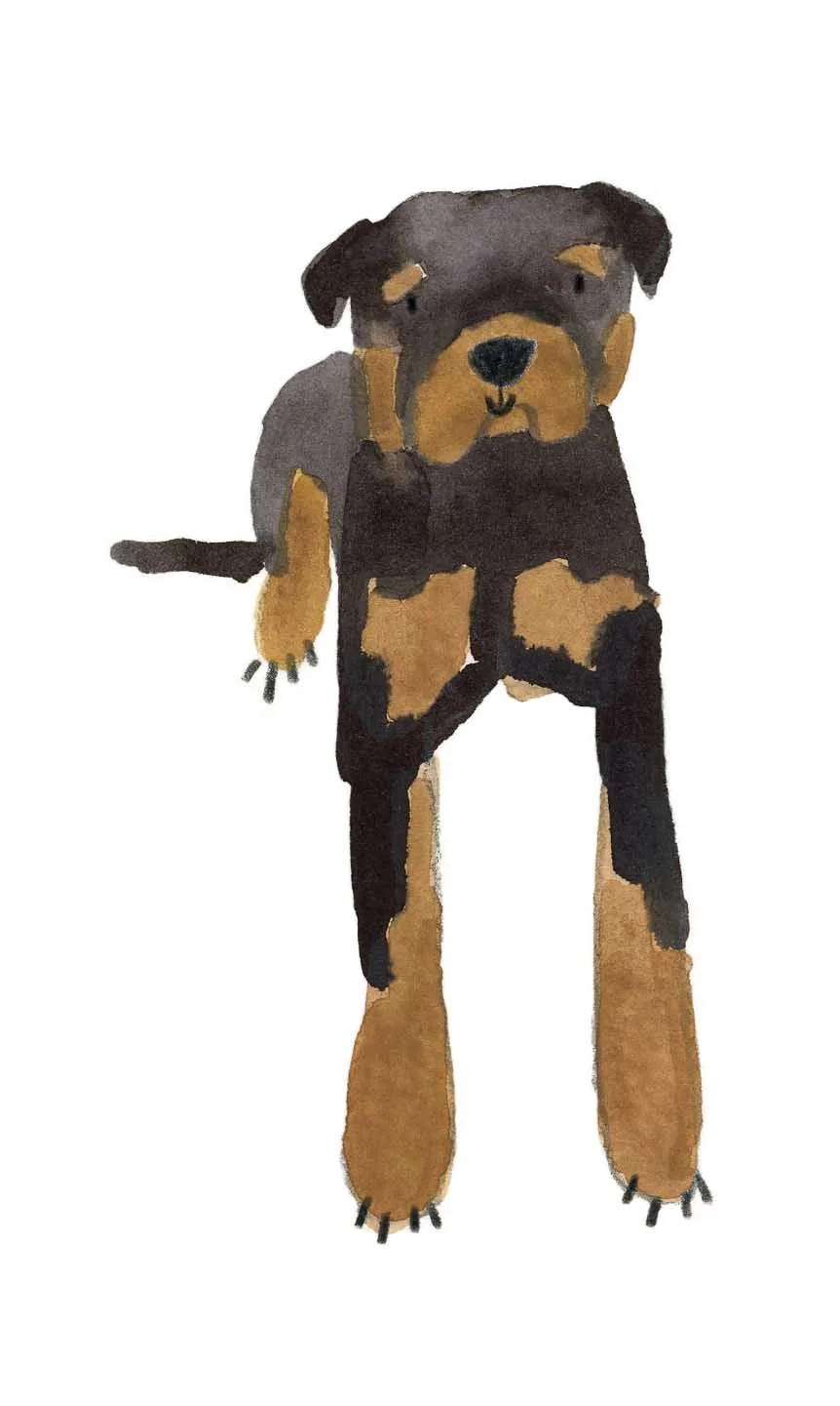 Rottweiler 3 online.jpg