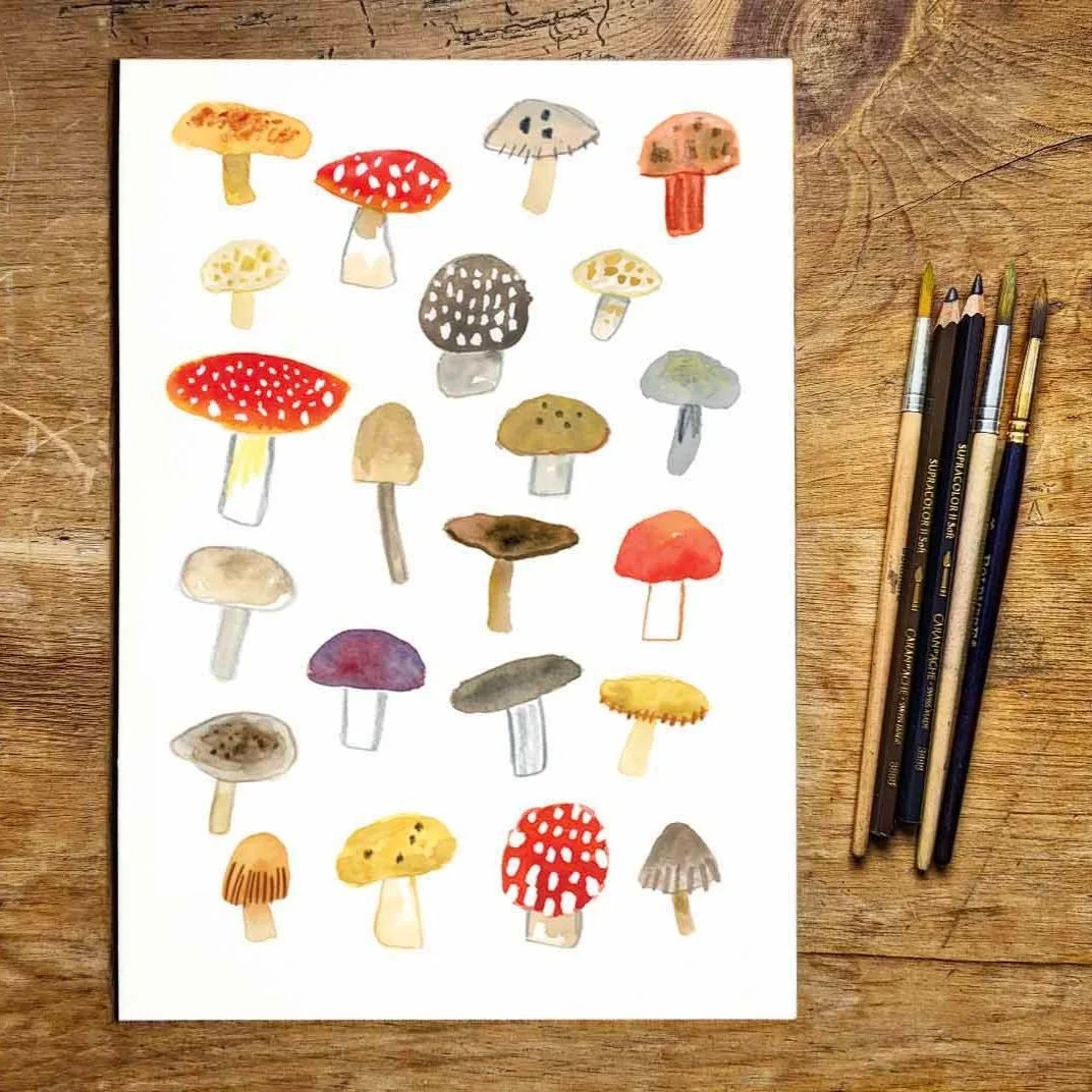 mushrooms+print+promo+1+copy.jpg