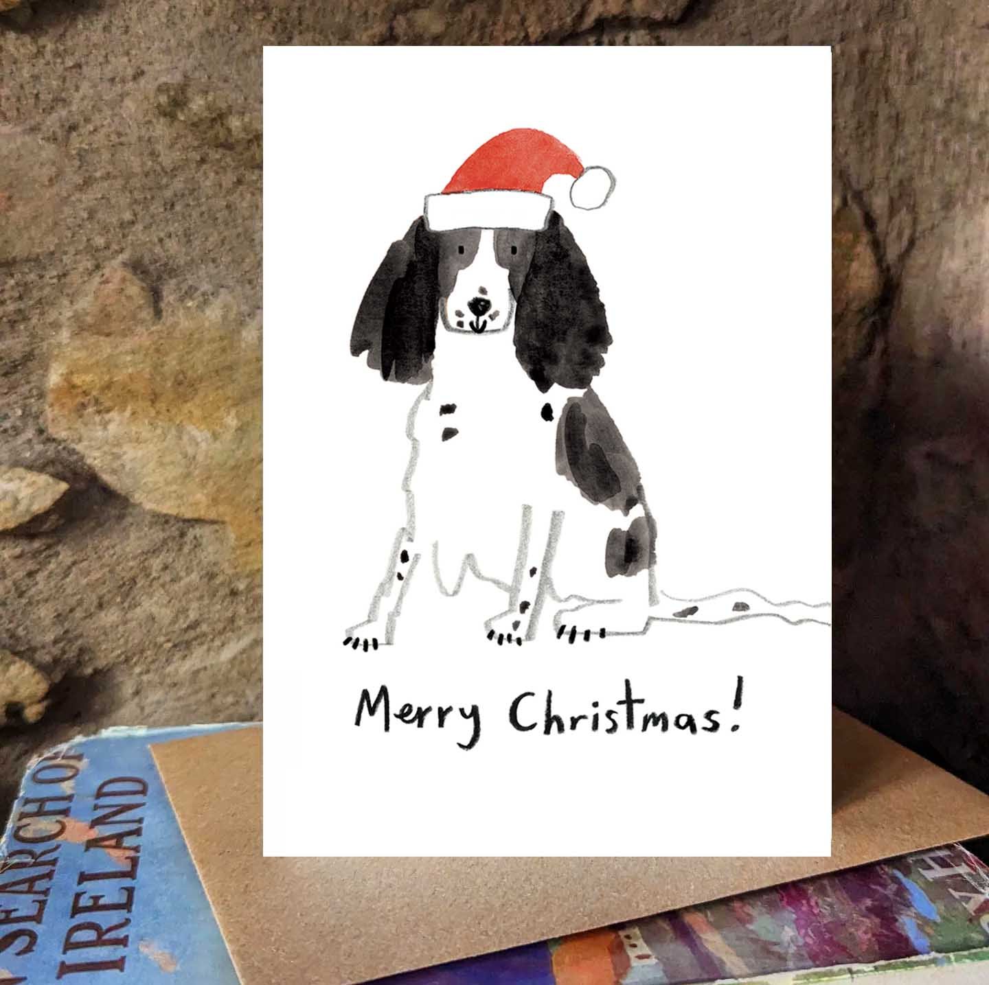 Black Springer Christmas promo 2.jpg