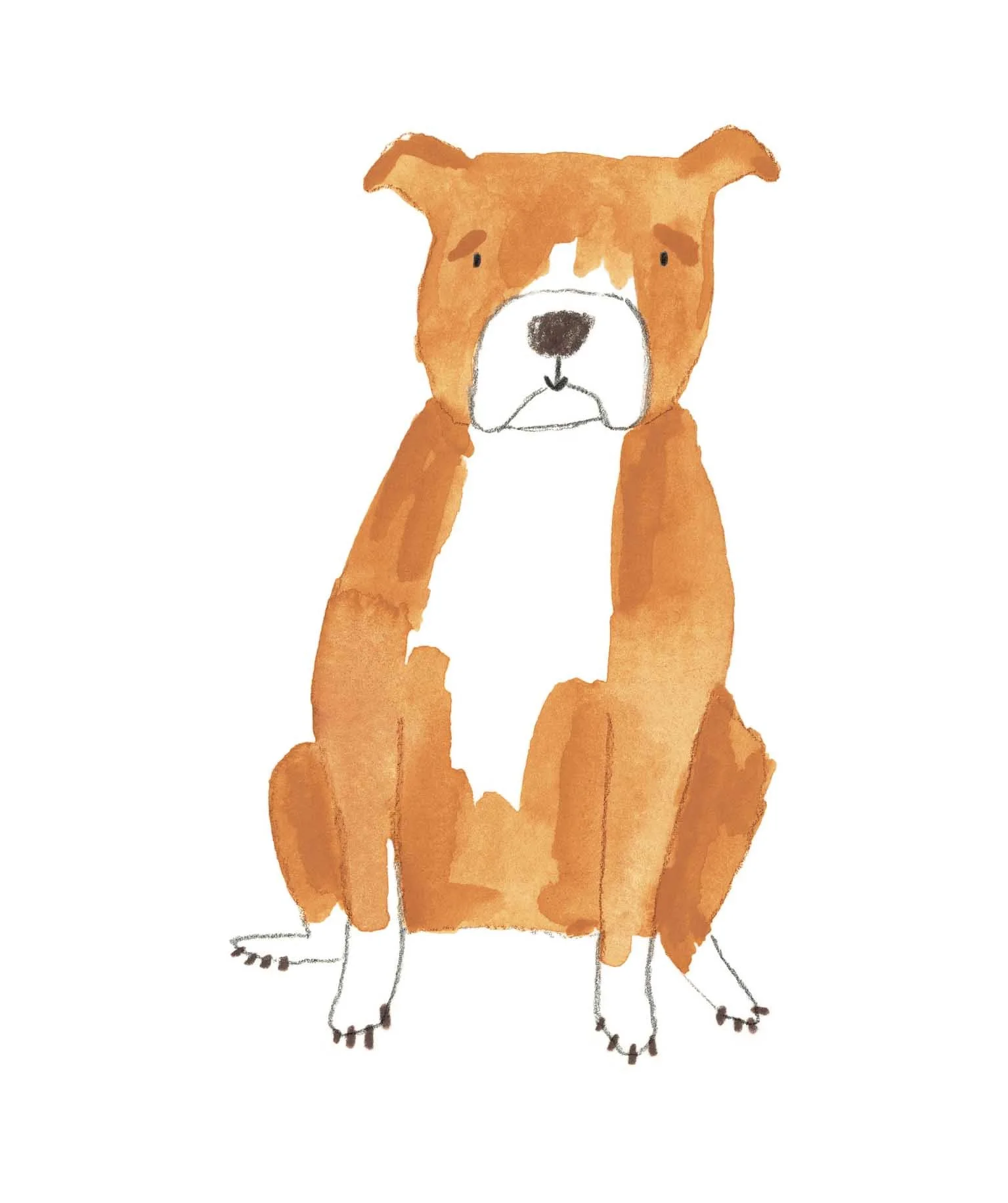 Staffy 2 online.jpg