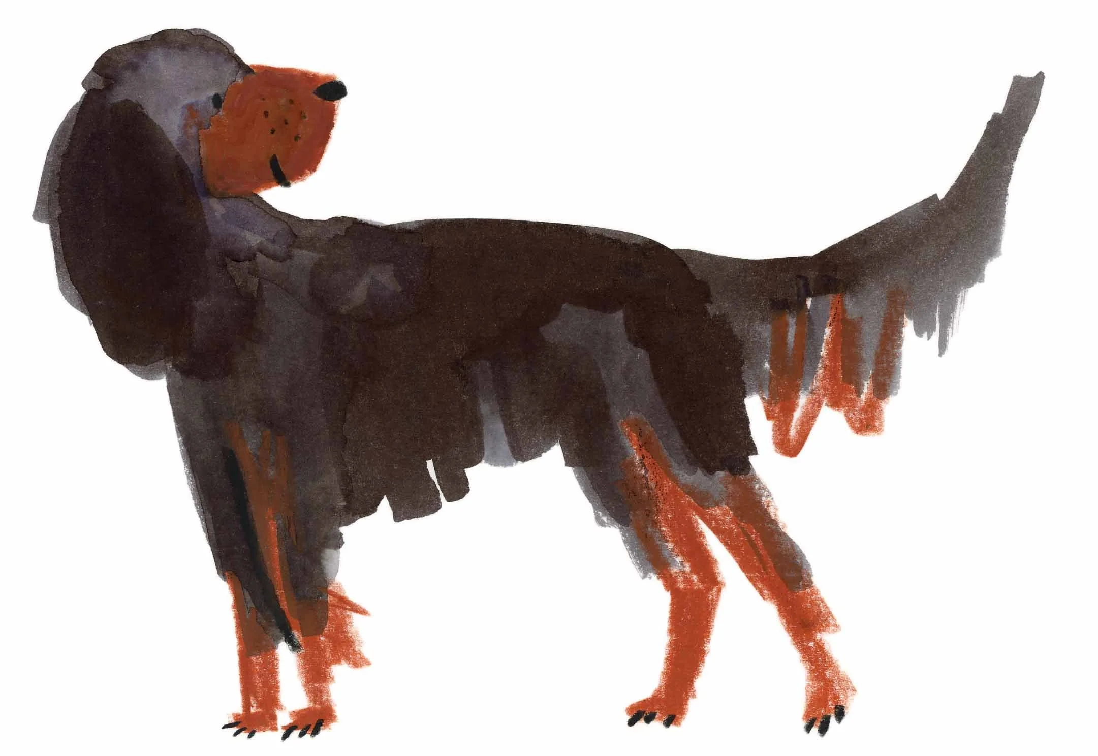 Gordon Setter 9 online.jpg