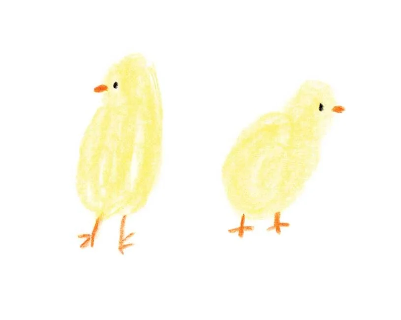 Little Chick 2 online.jpg