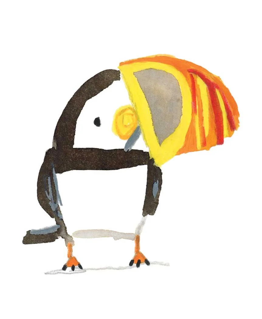 Puffin 5 online.jpg