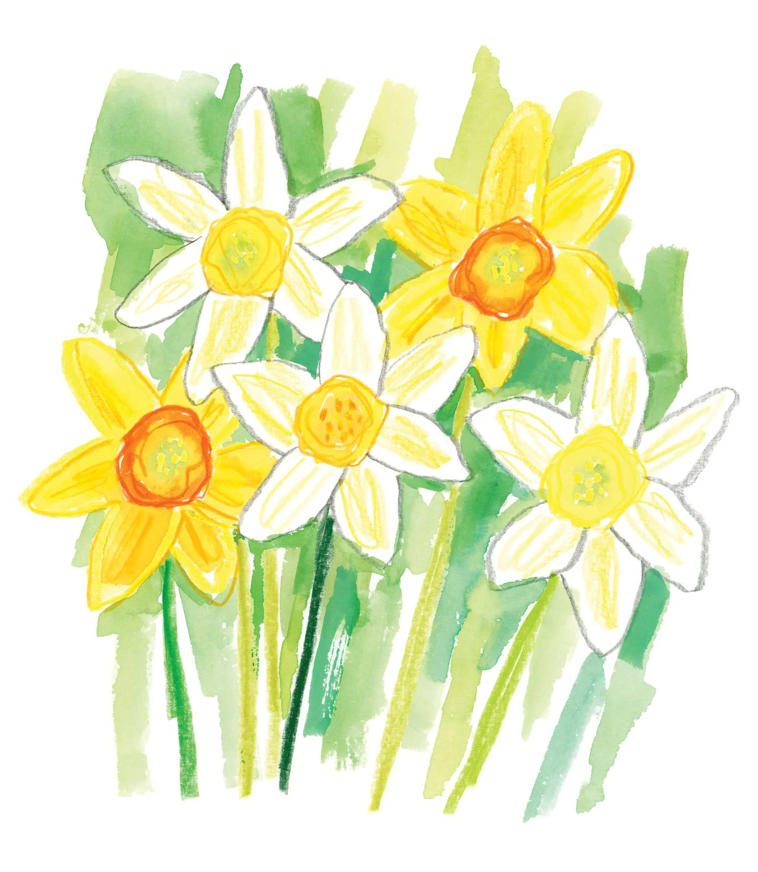 Daffodils Original 2 online.jpg