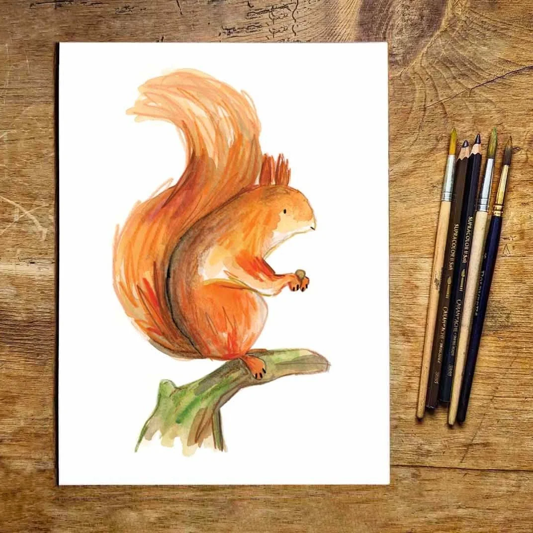 squirrel+promo+2.jpg