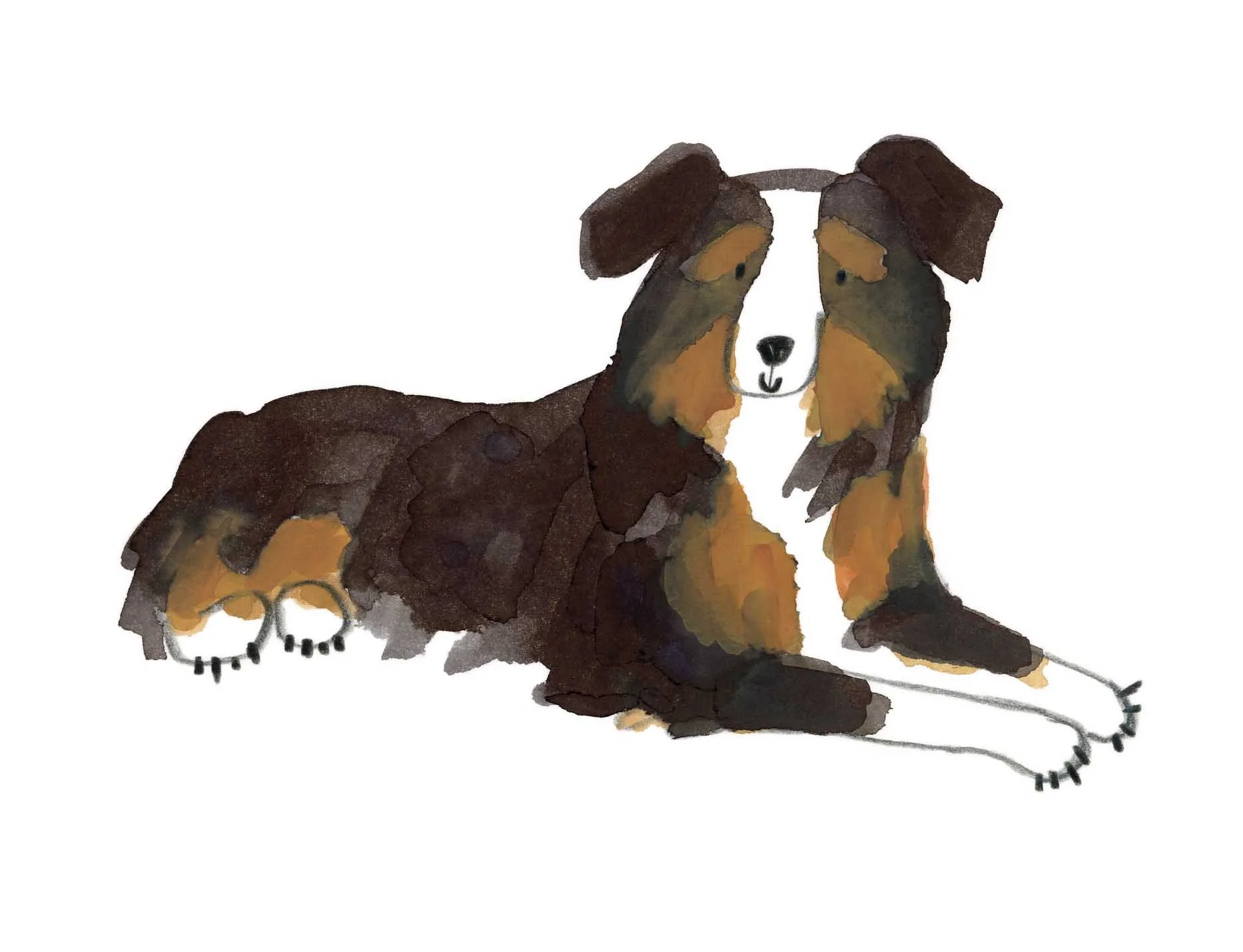 ozzy black and tan online.jpg