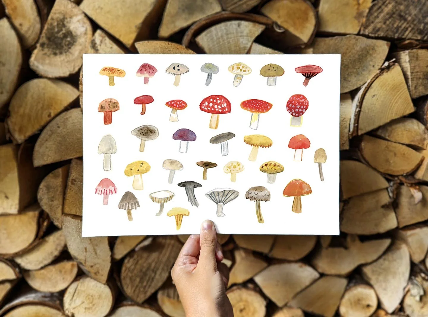 a4 mushrooms promo online 2.jpg