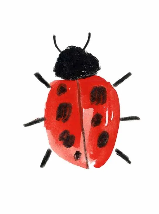 Ladybird 1 online.jpg