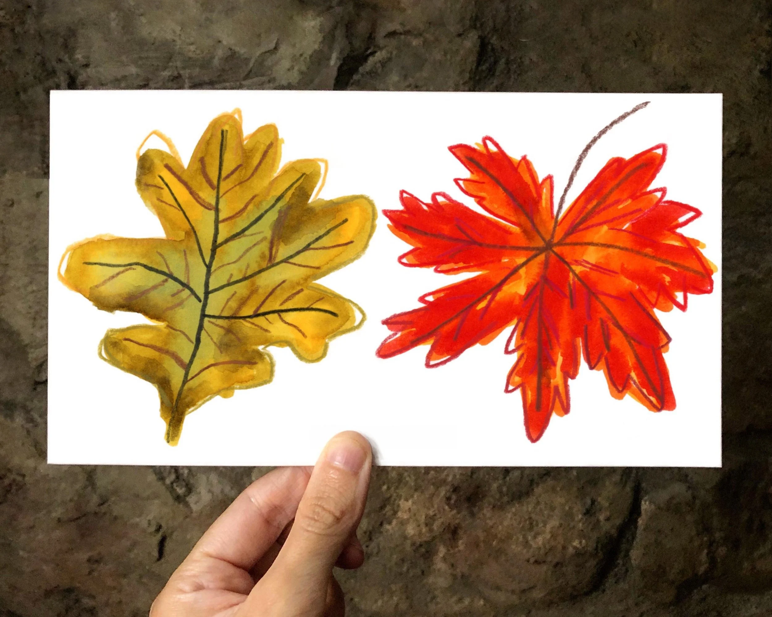 autumn+leaves+promo+2.jpg