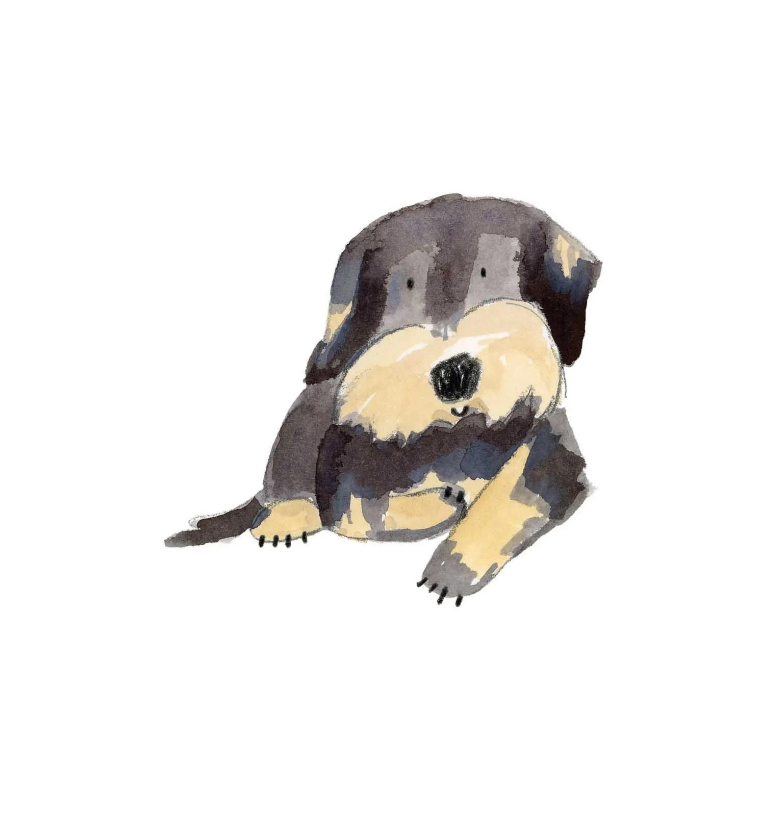 Wire haired dachshund 1 online.jpg