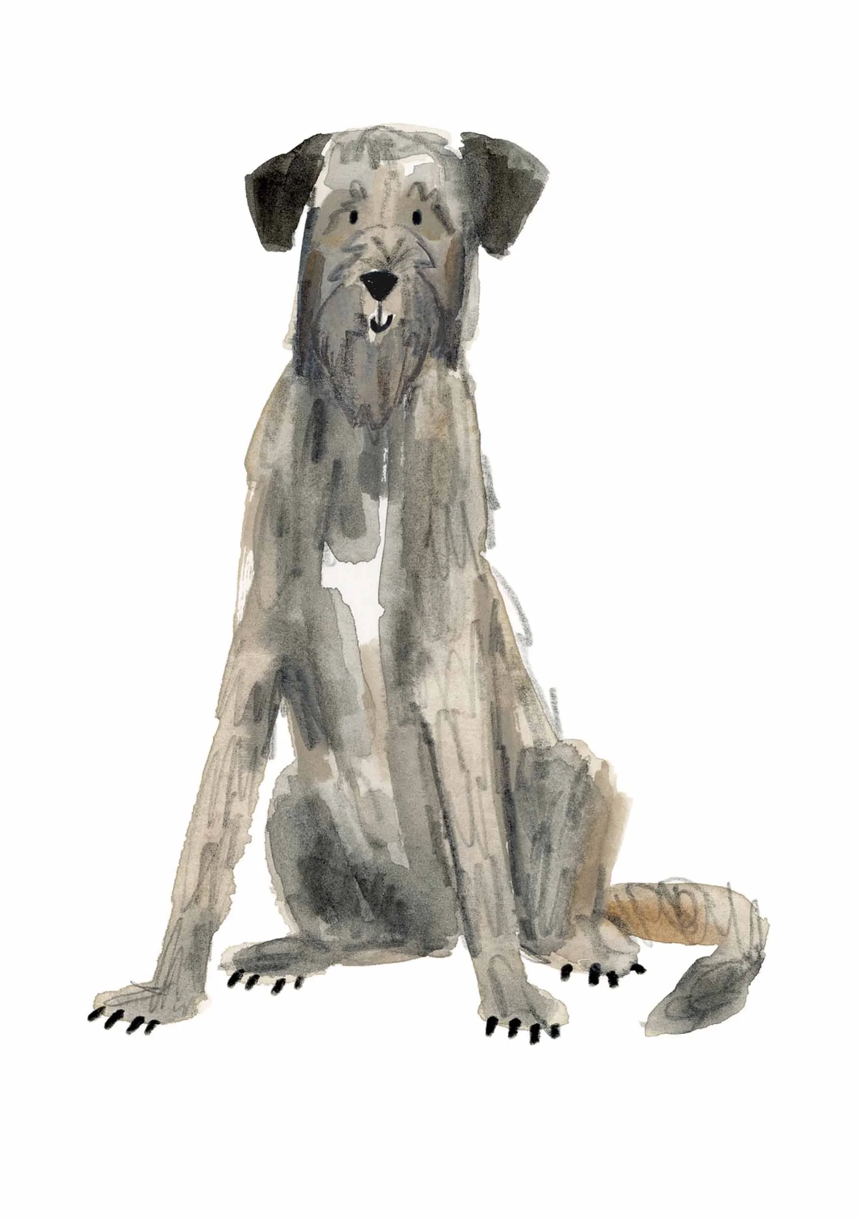 Irish Wolfhound Print 1 online.jpg