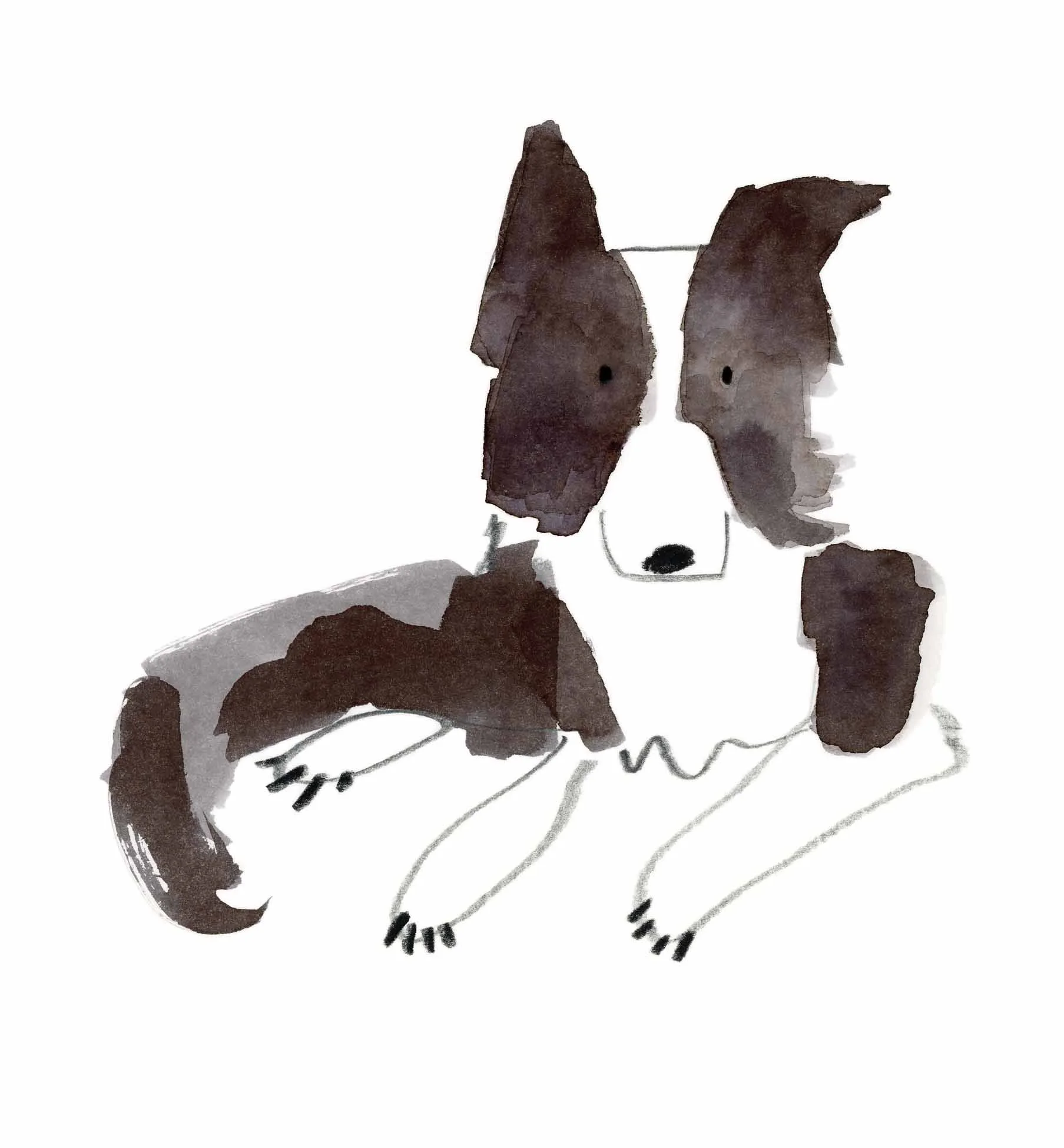 Collie Original 4 online.jpg