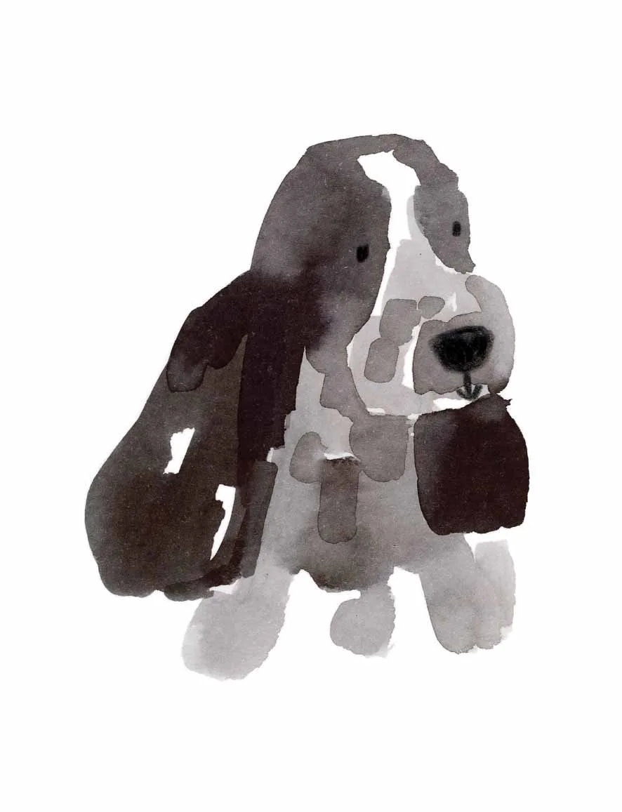 Blue ROan 10 online.jpg