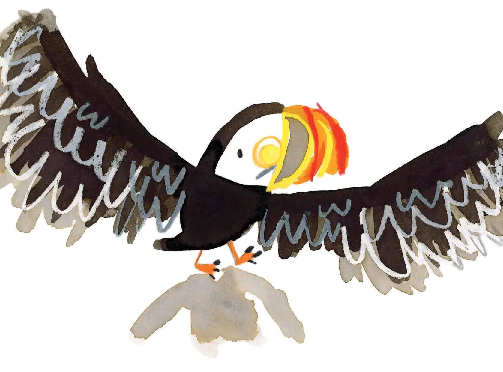 Puffin 4 online.jpg