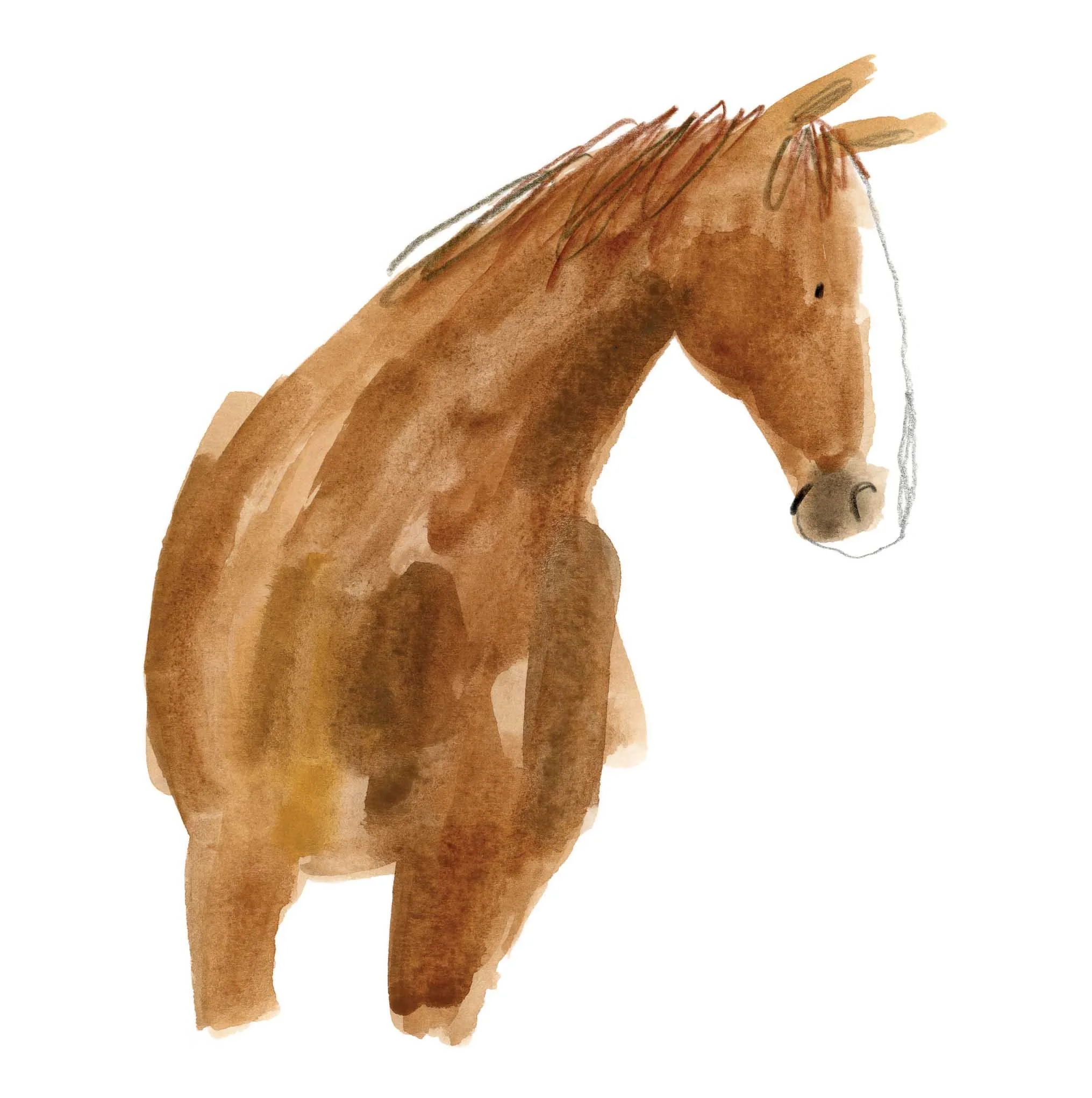 Horse 1 online.jpg