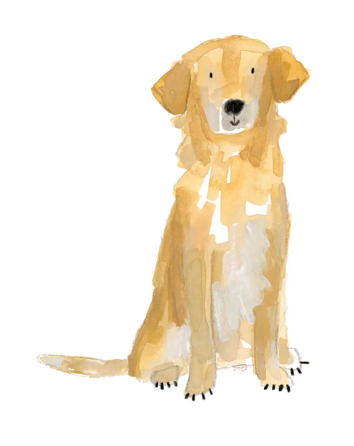 Golden Retriever 2 online.jpg