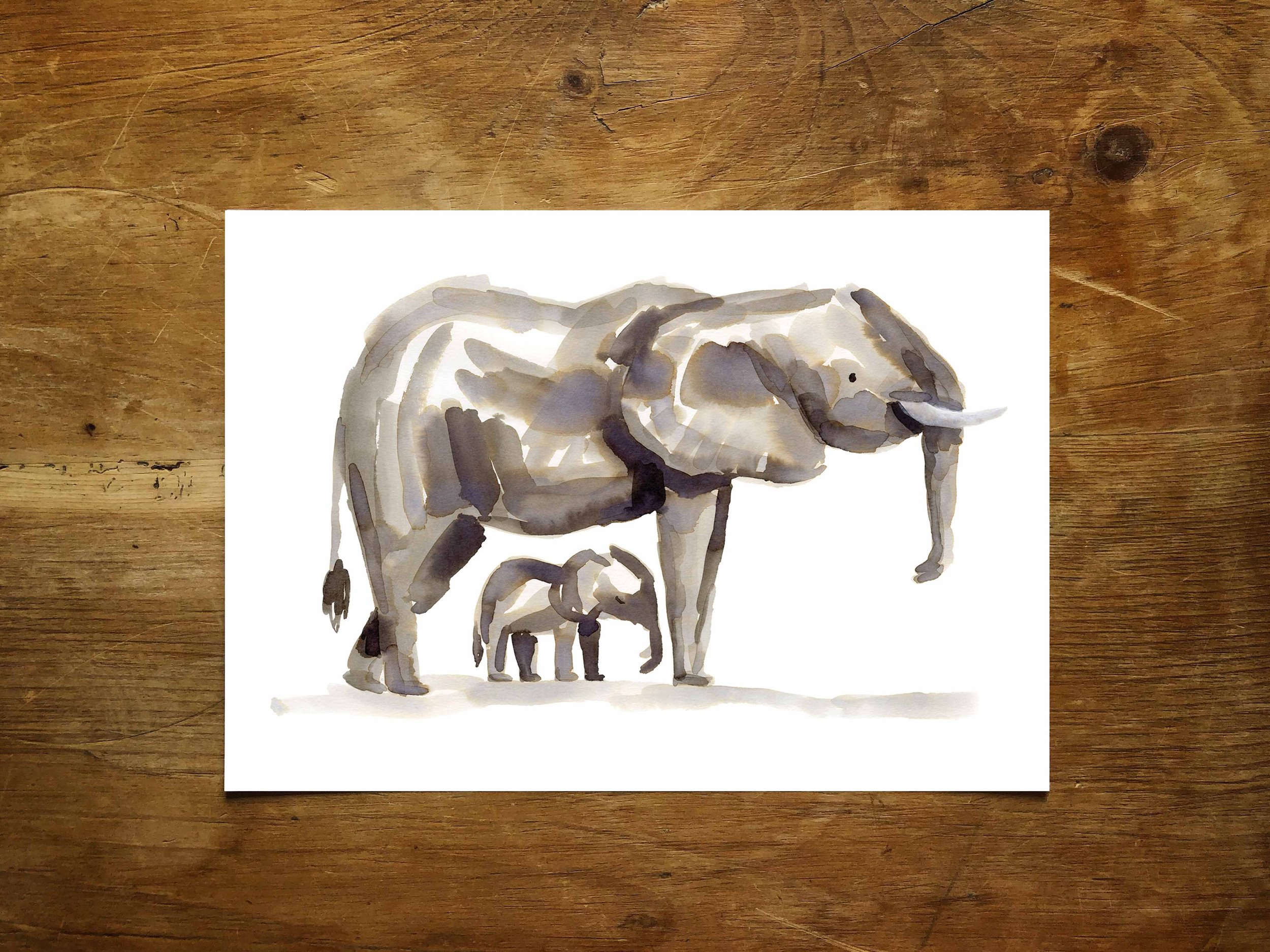 Elephants 1 Print Promo.jpg