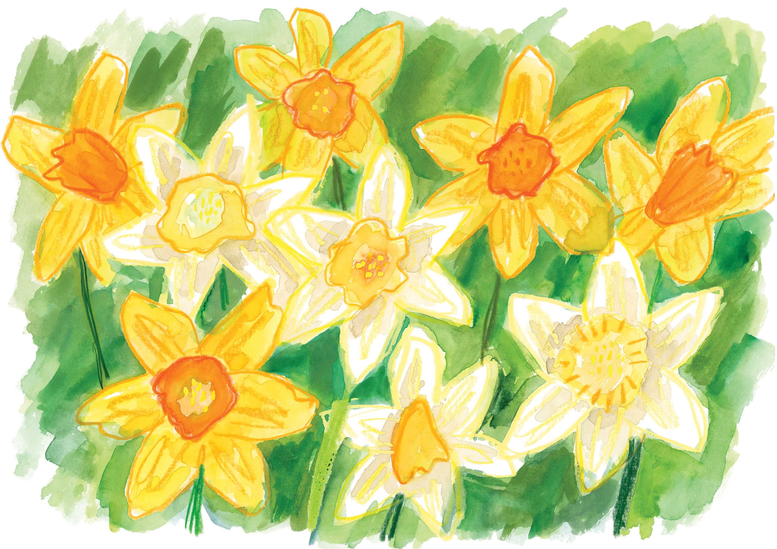 Daffodils Original 4 online.jpg
