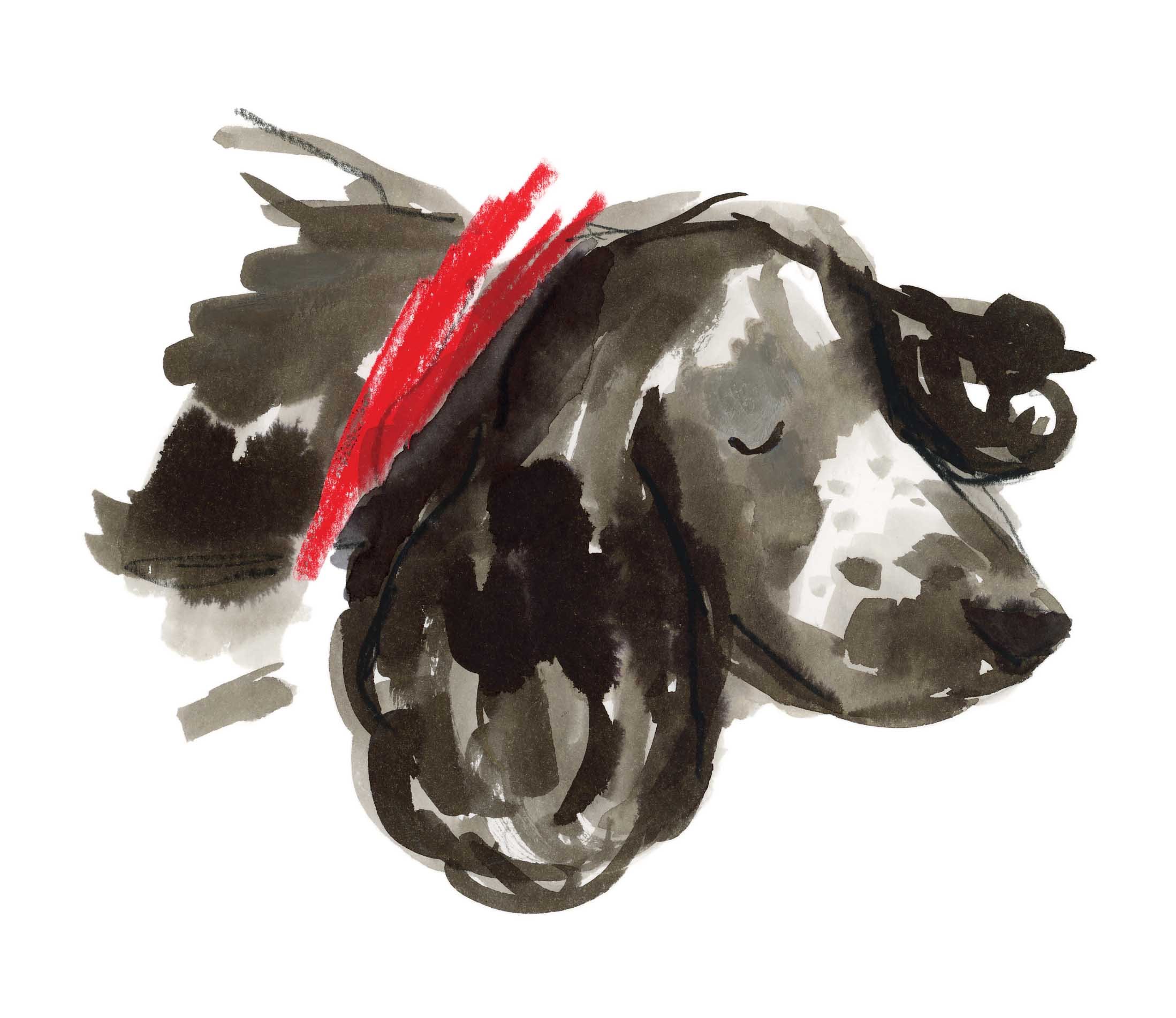 Frida 9 online.jpg