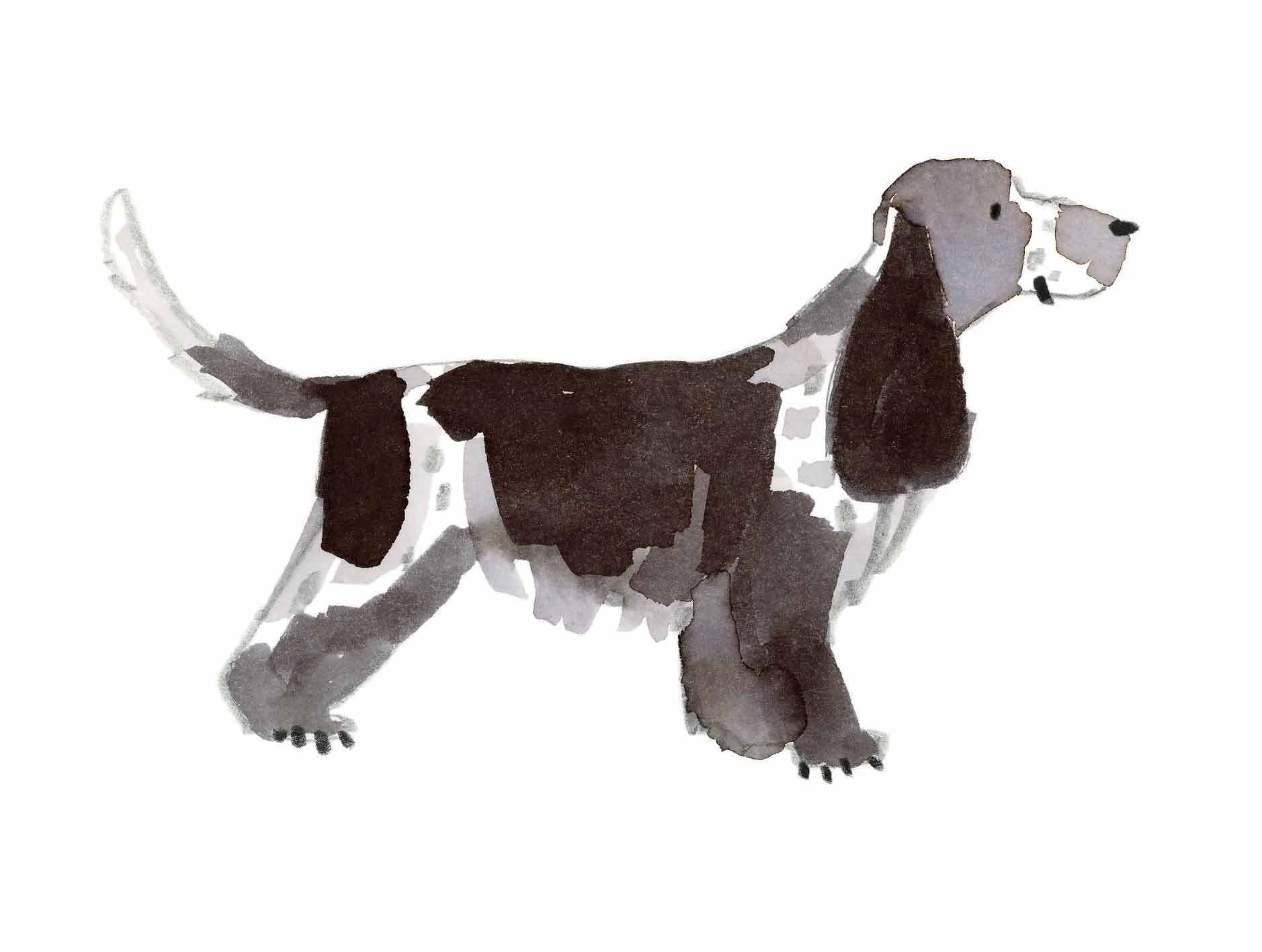 Blue Roan original 1 online.jpg