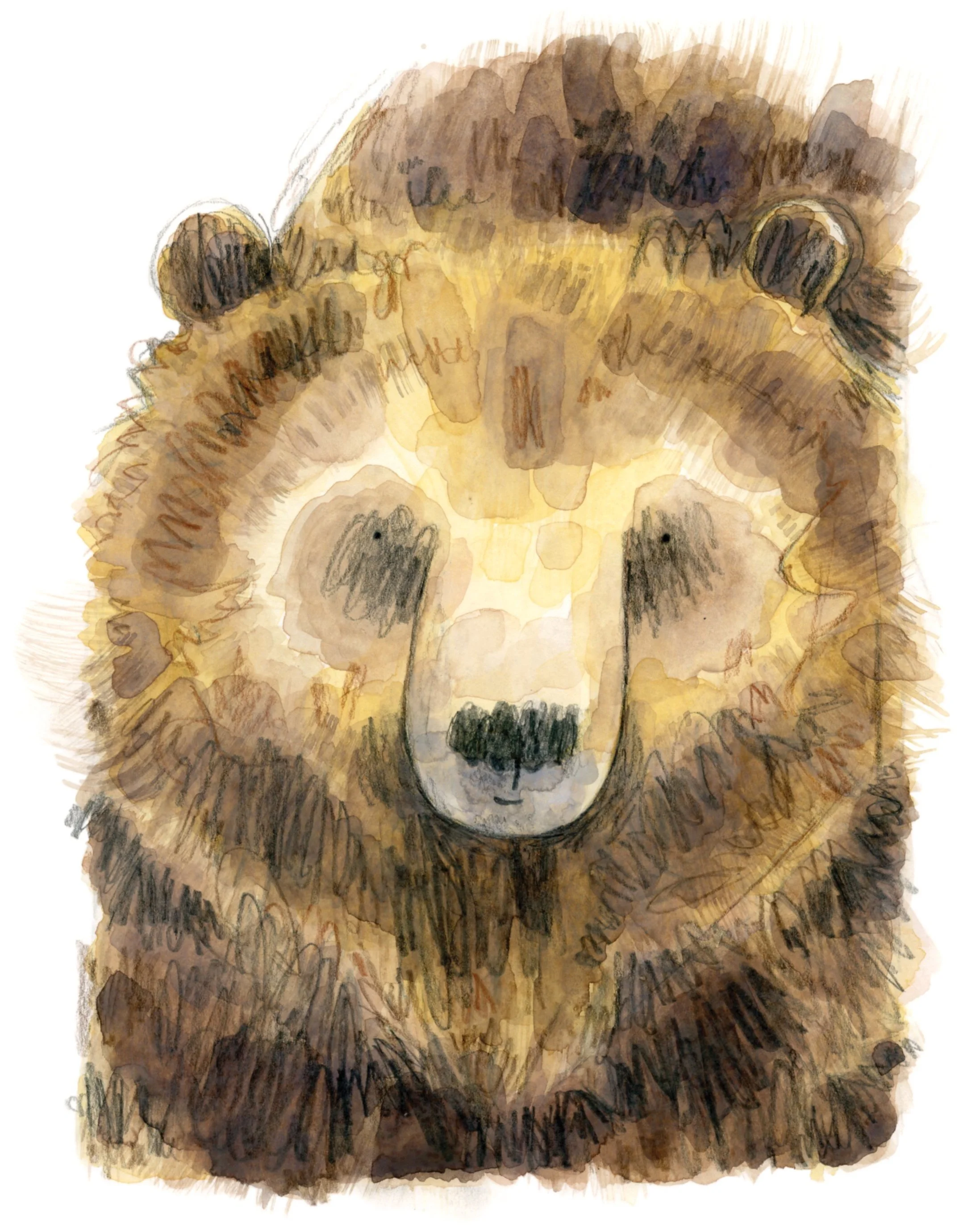 Grizzly+Bear+Print+Shop.jpg
