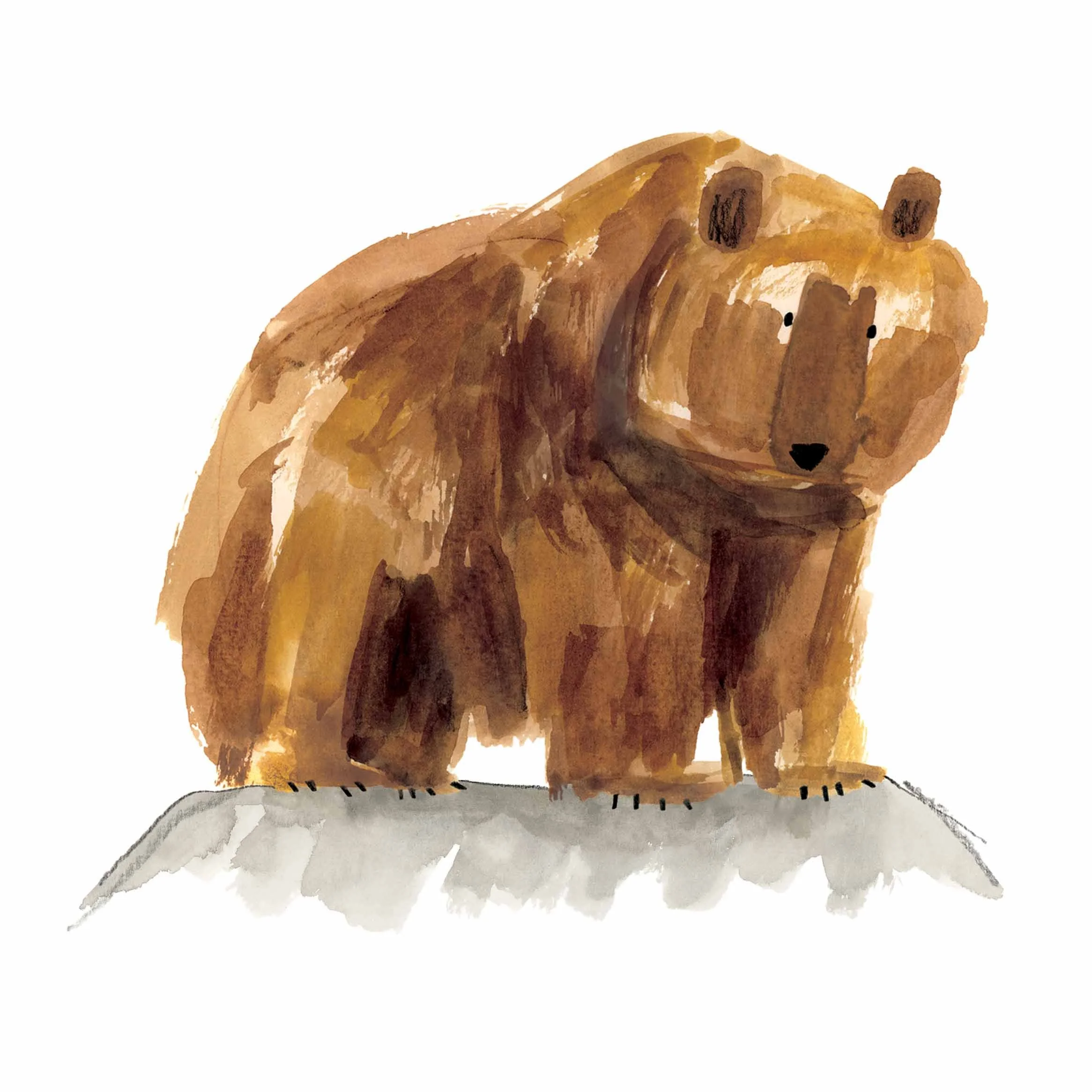 Grizzly Bear Print online.jpg