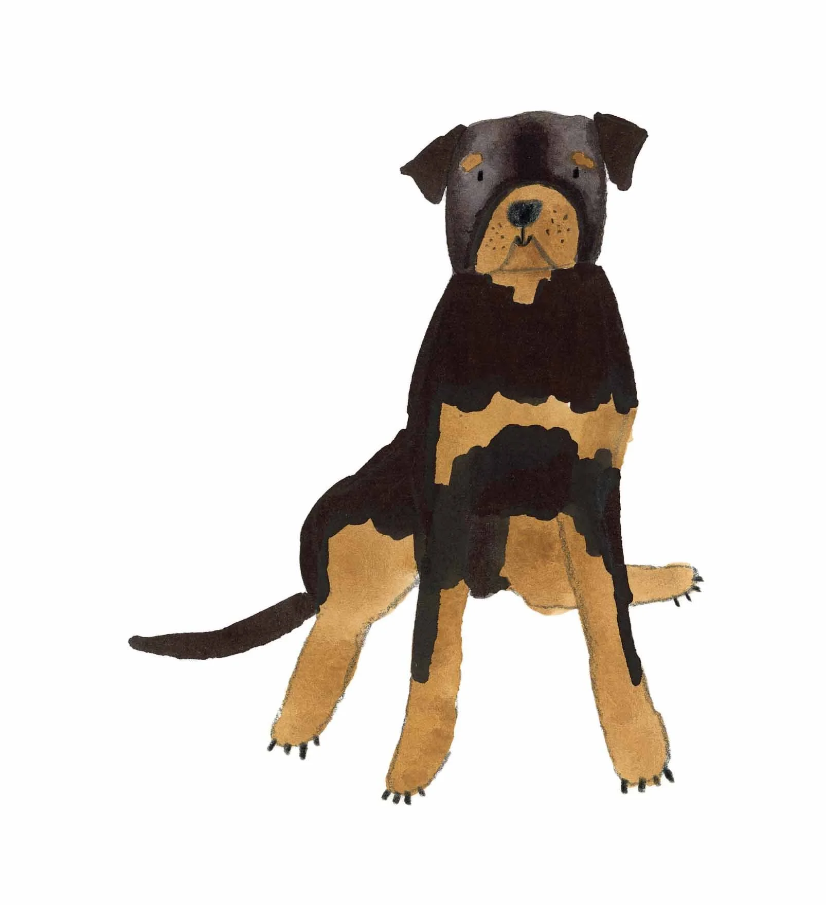 Rottweiler 2 online.jpg