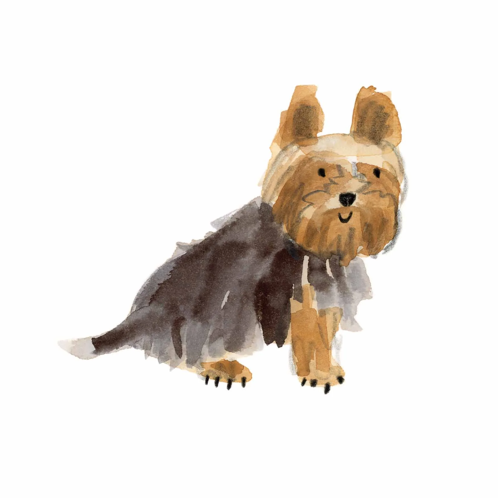 Yorkshire Terrier Print 1 online.jpg