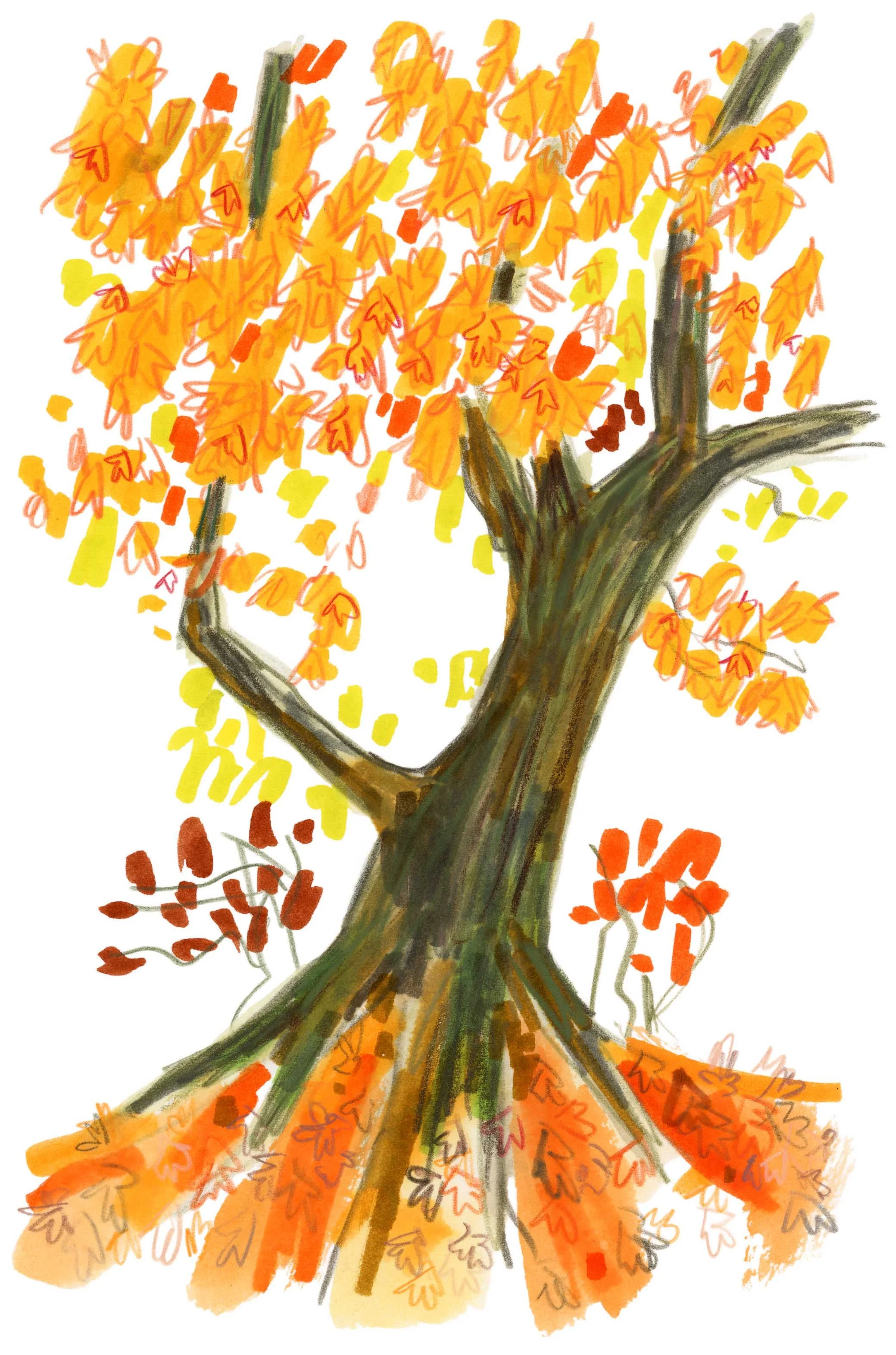 Autumn Tree Original 1 online.jpg