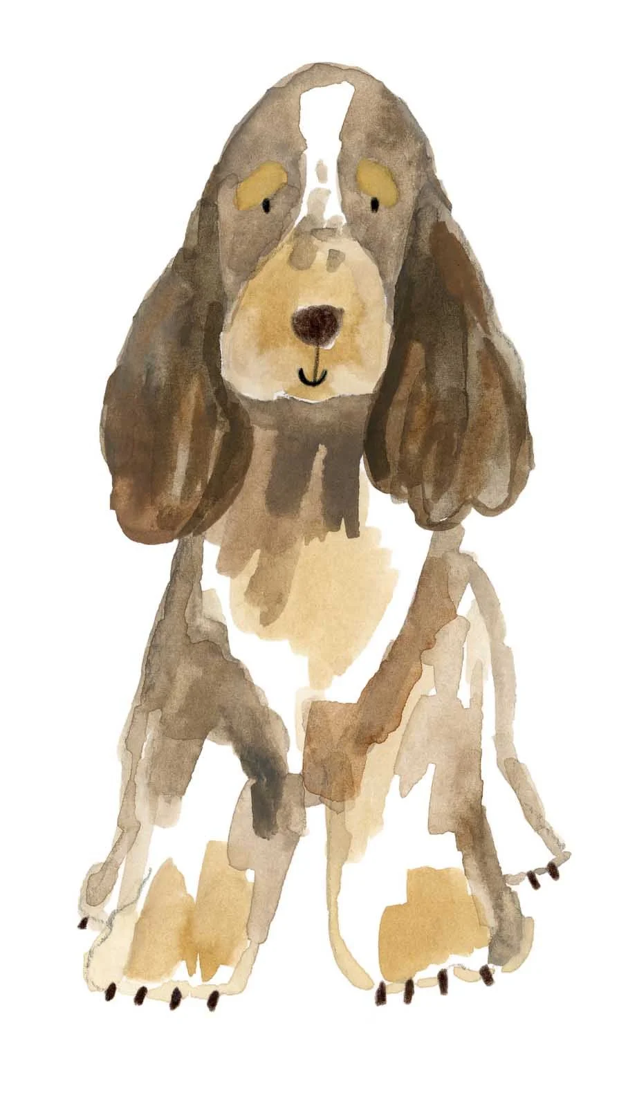 Liver roan and tan cocker online.jpg