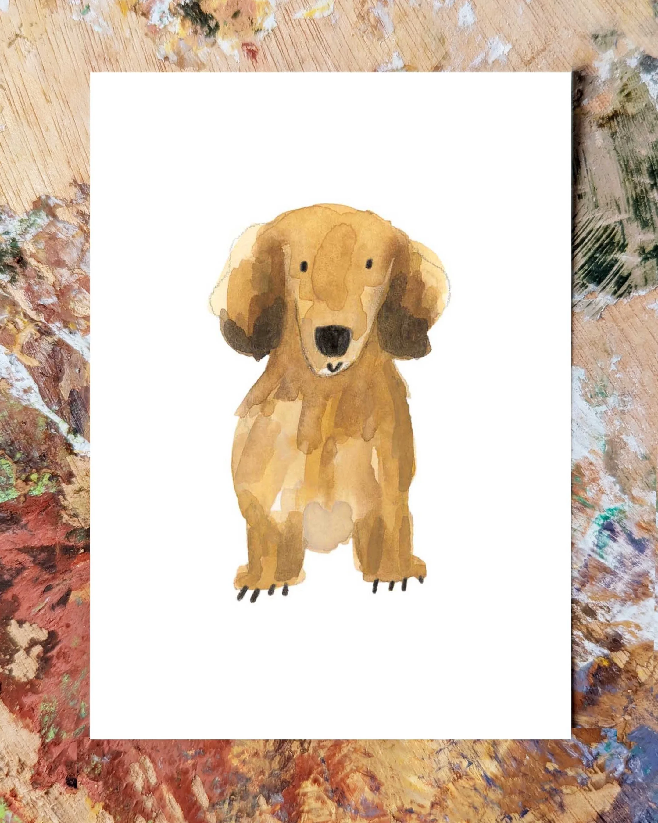 Long+haired+dachshund+promo.jpg