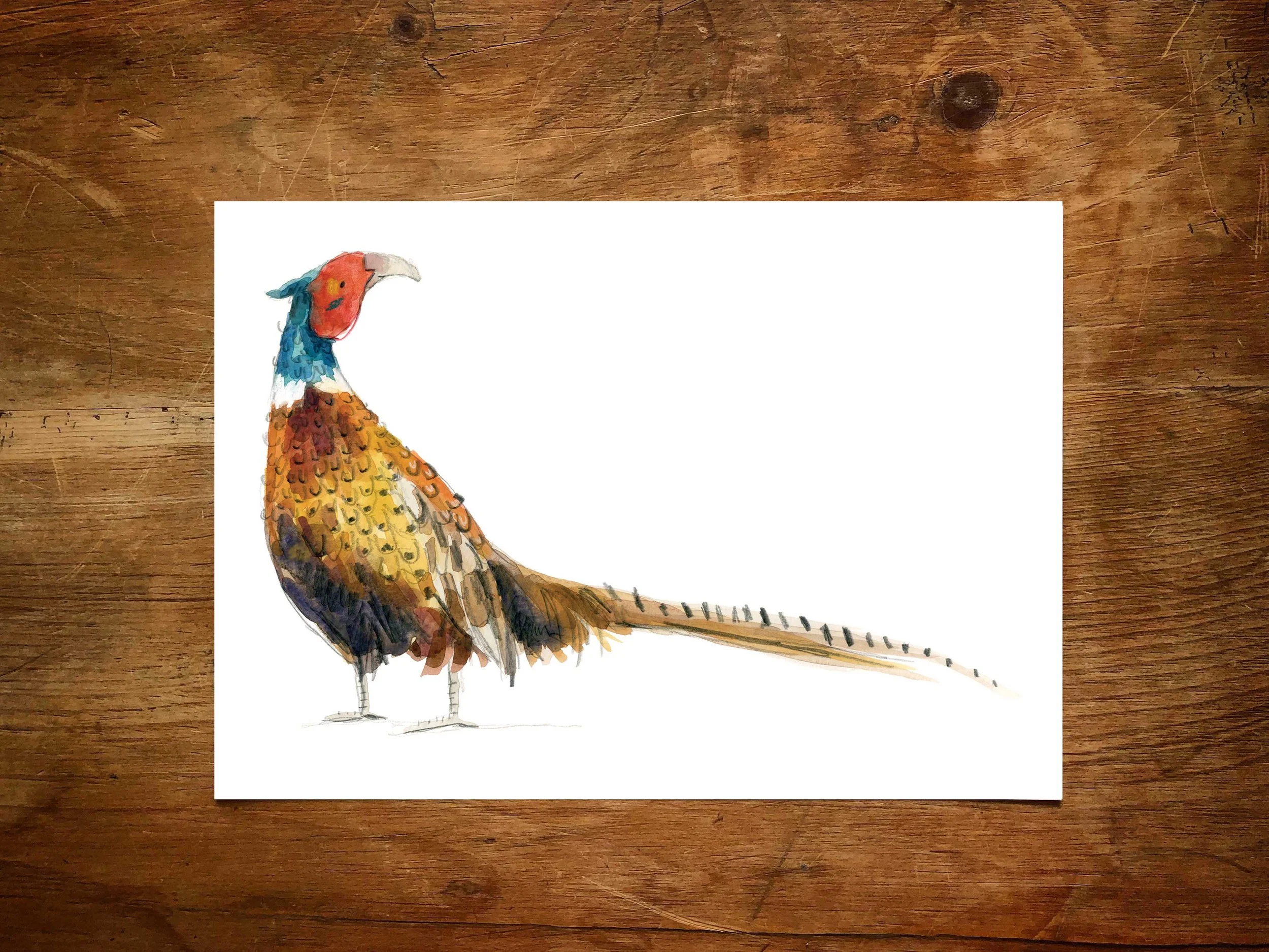 a5 pheasantprint online.jpg