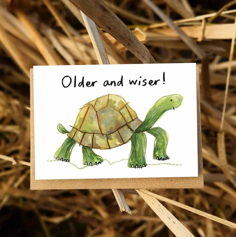 older and wiser promo 1 online.jpg