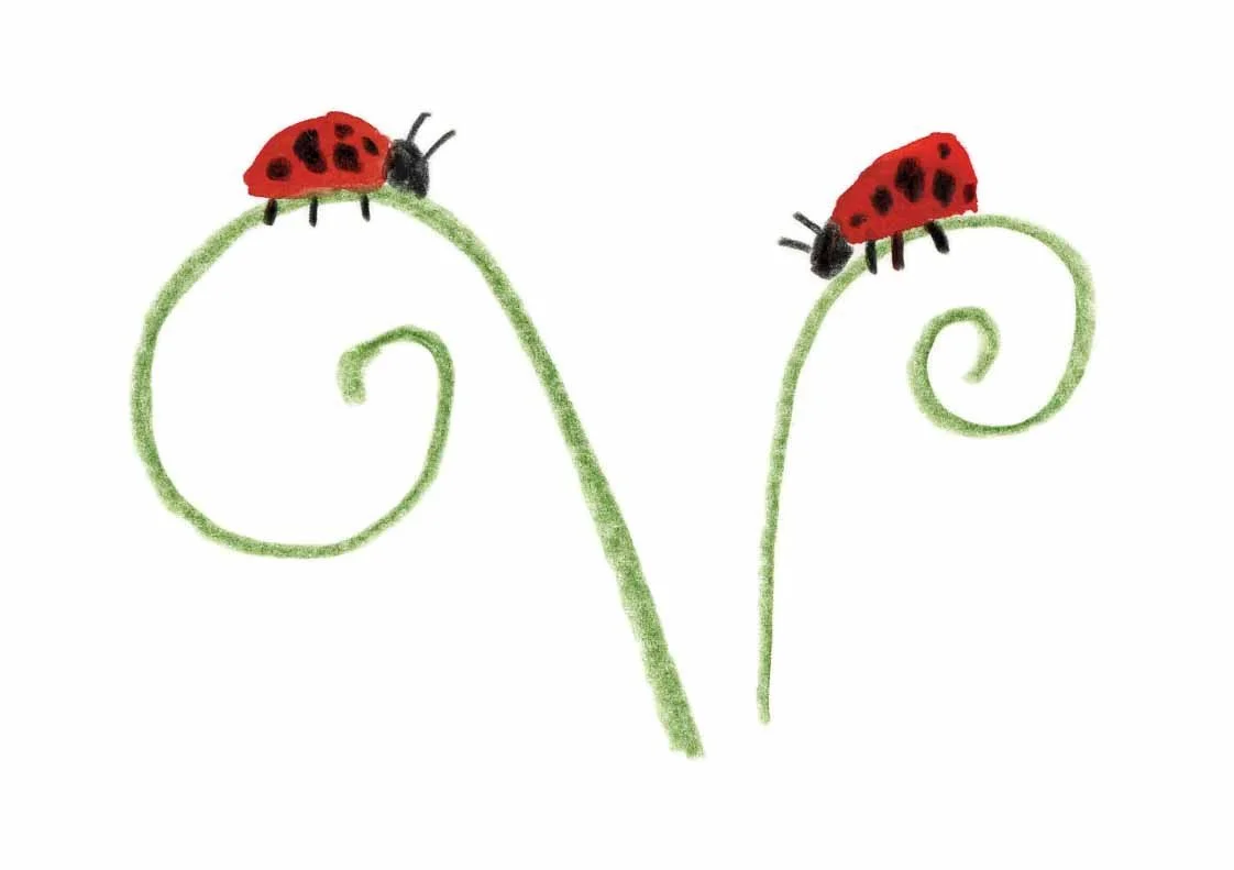Ladybirds 1 online.jpg