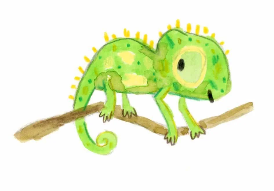 Baby chameleon 2 online.jpg