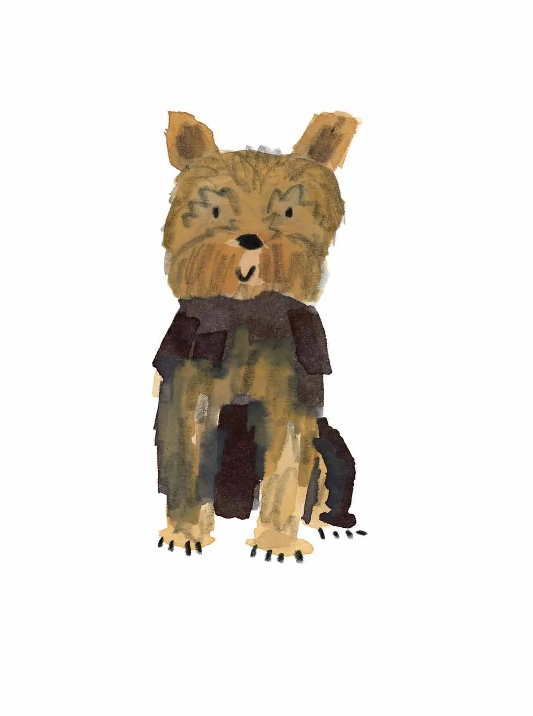 Yorkshire Terrier 4 online.jpg