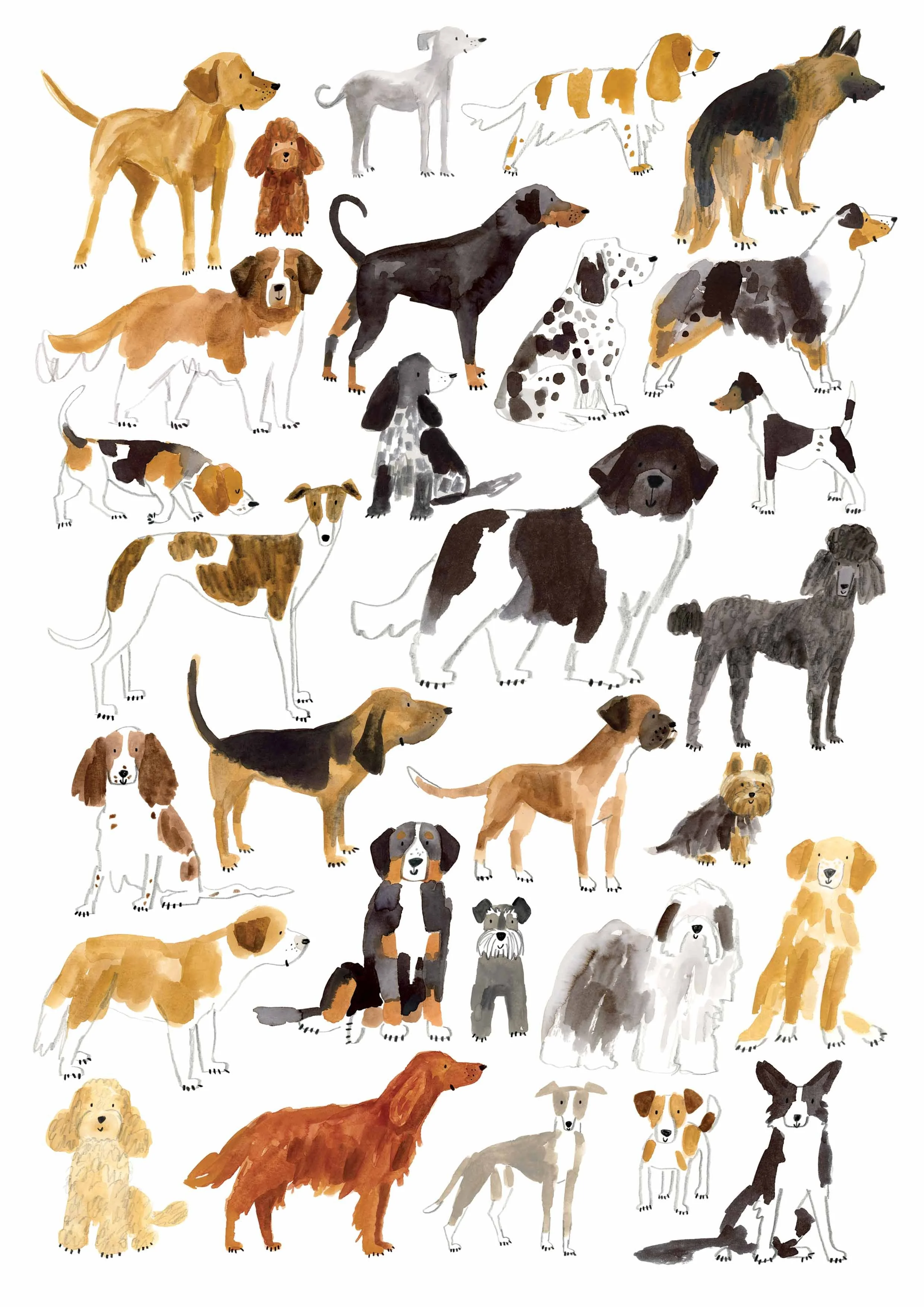 A4 Dogs Print- 1st Edition online.jpg