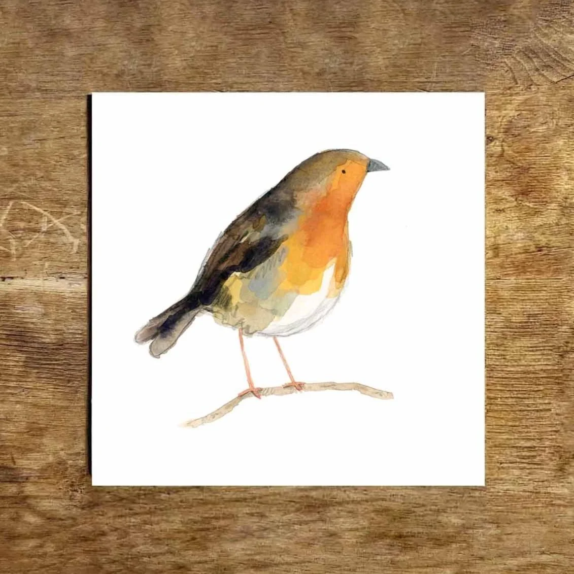 Robin+print+promo+1.jpg