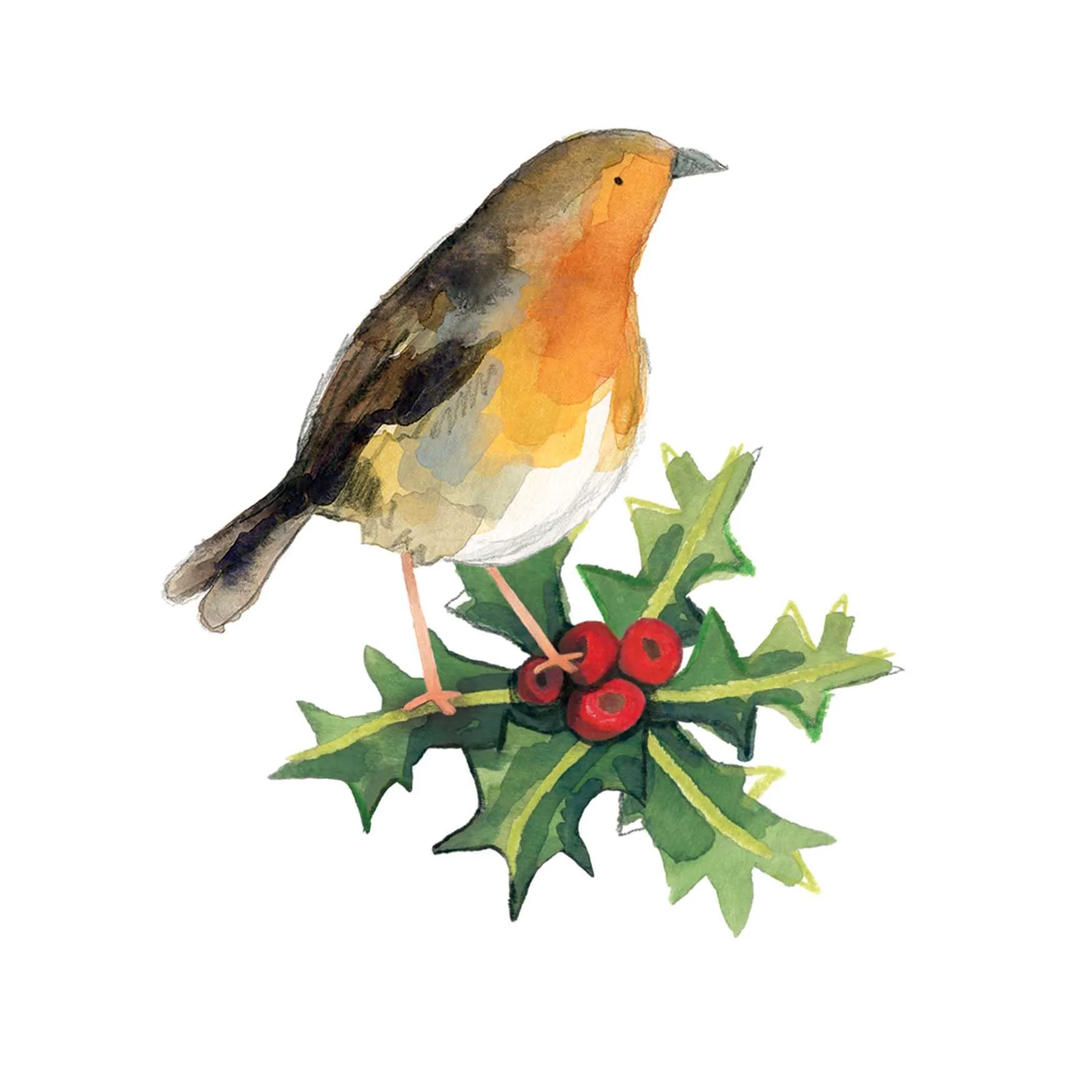 Robin on holly print online.jpg