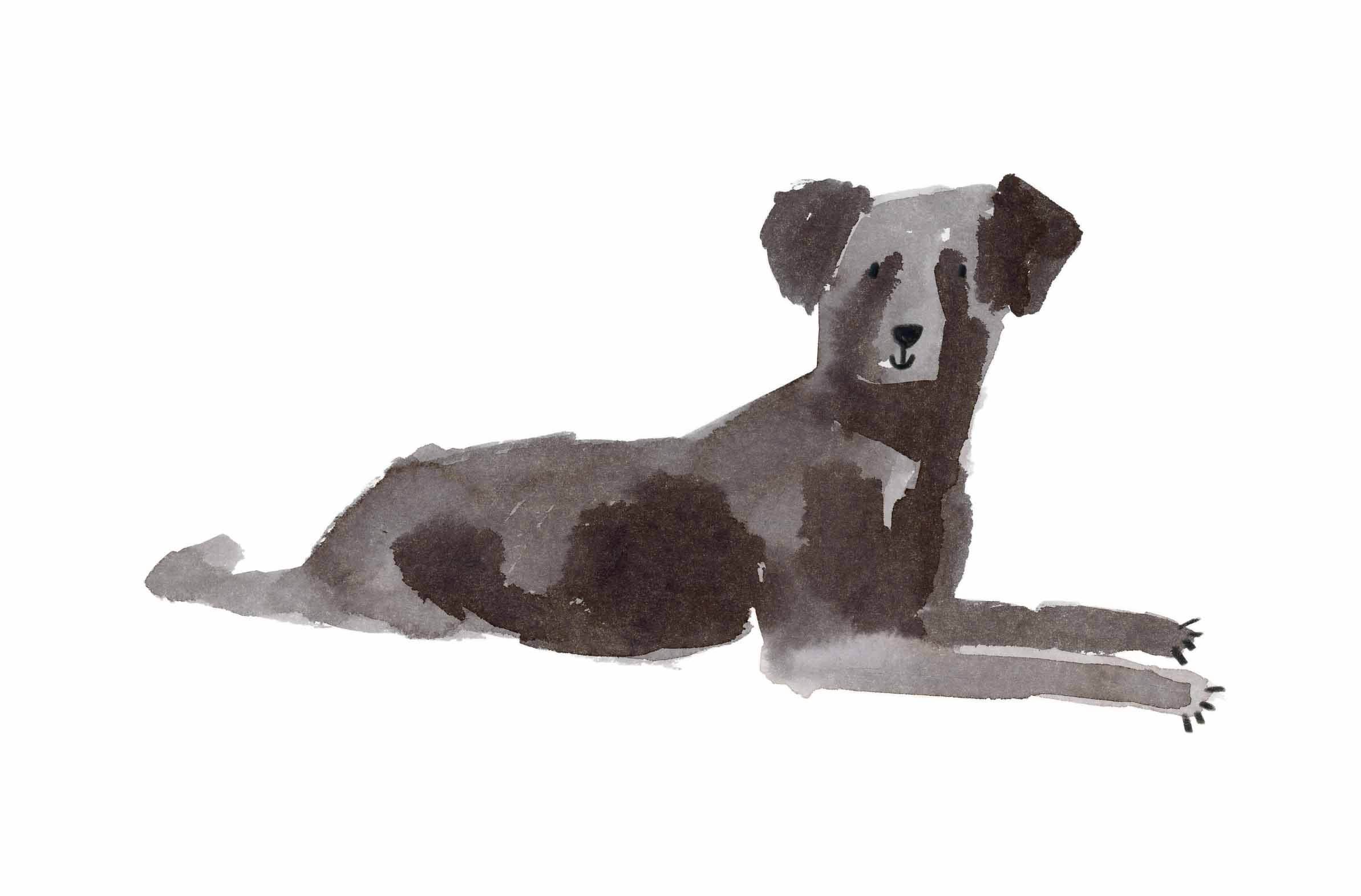 Black Labrador original 1 online.jpg