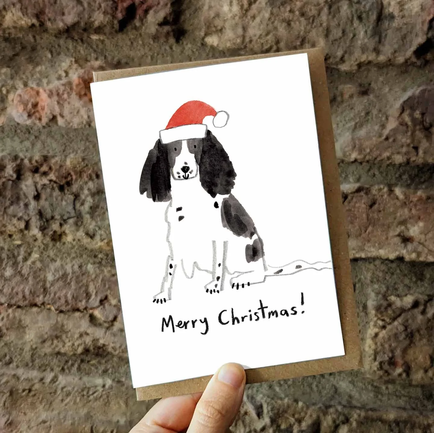 Black Springer xmas card promo 25-1.jpg